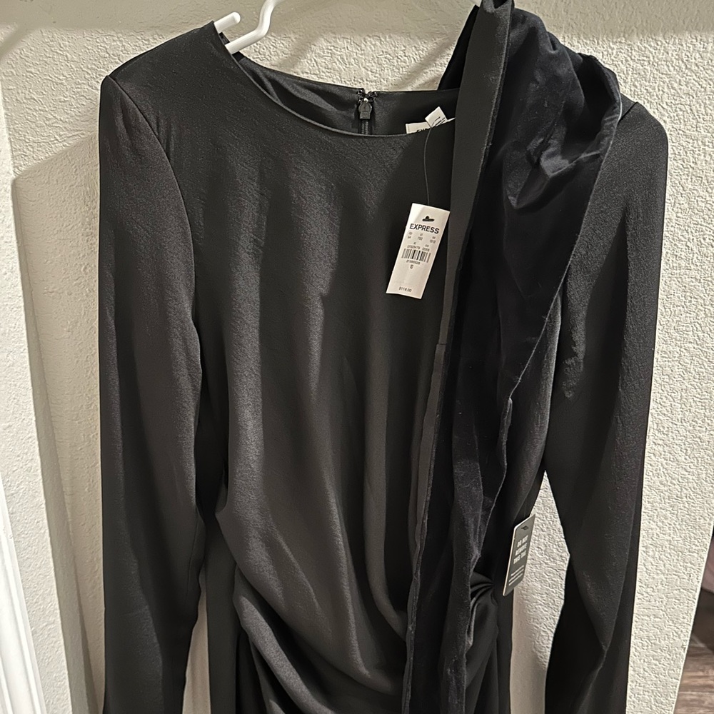 Express X Karla Dress